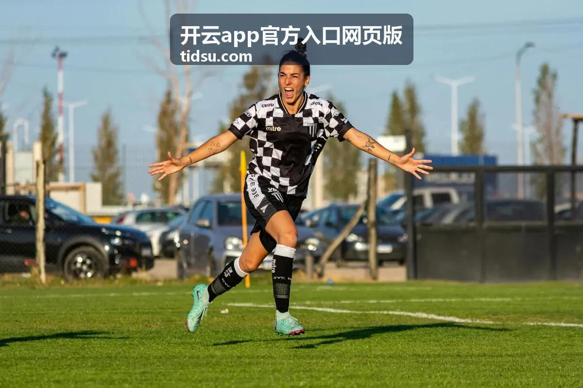 开云app官方入口网页版登录与验证步骤