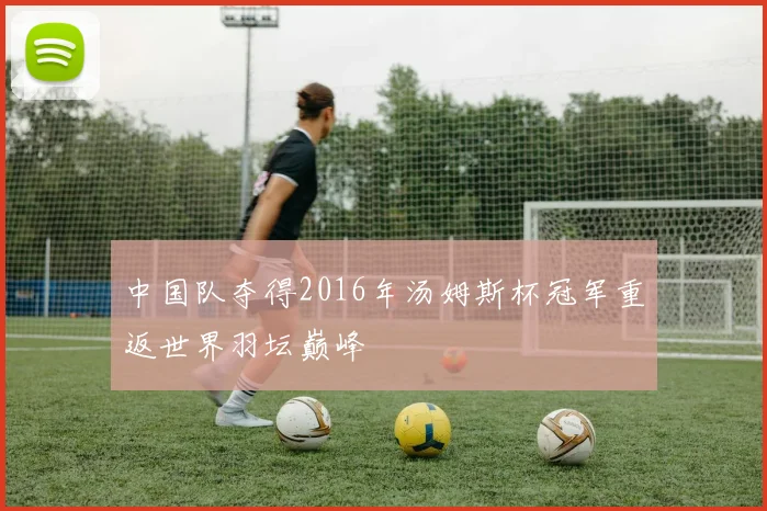 中国队夺得2016年汤姆斯杯冠军重返世界羽坛巅峰