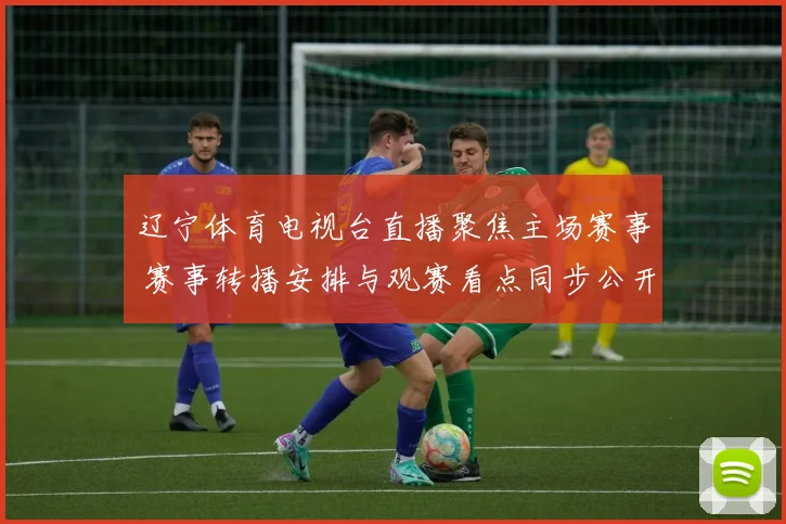 辽宁体育电视台直播聚焦主场赛事 赛事转播安排与观赛看点同步公开