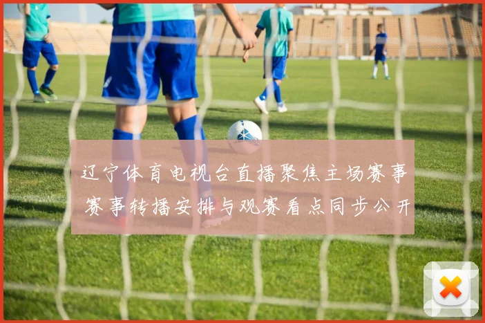 辽宁体育电视台直播聚焦主场赛事 赛事转播安排与观赛看点同步公开