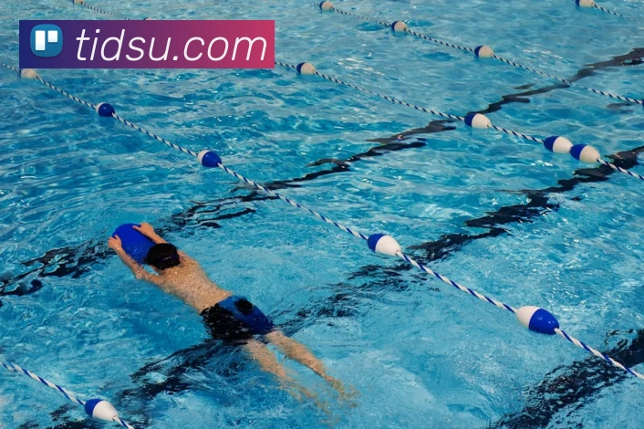 开云手机在线官网登录APP 封面图